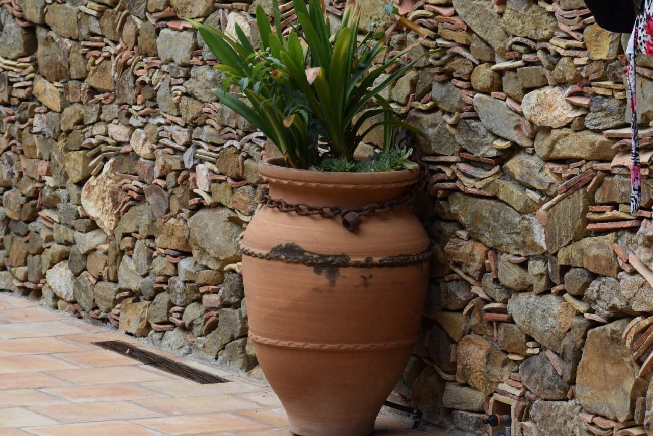 Mas Font - Nature Bike Aiguaviva Exterior foto